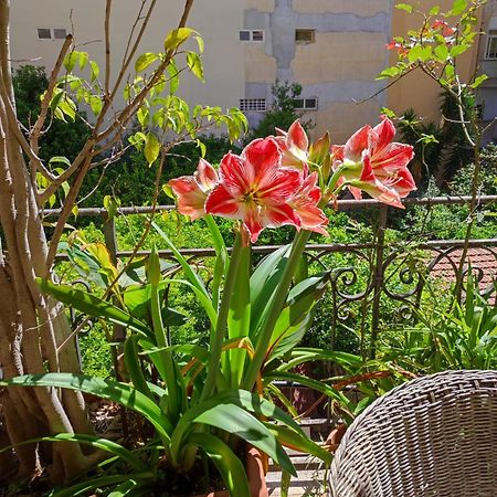 Cuba'S Art House Lejlighed Palermo Eksteriør billede